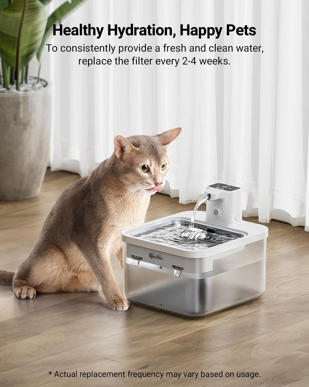 Guide d’entretien DPWFP6 et changement régulier pour une fontaine durable