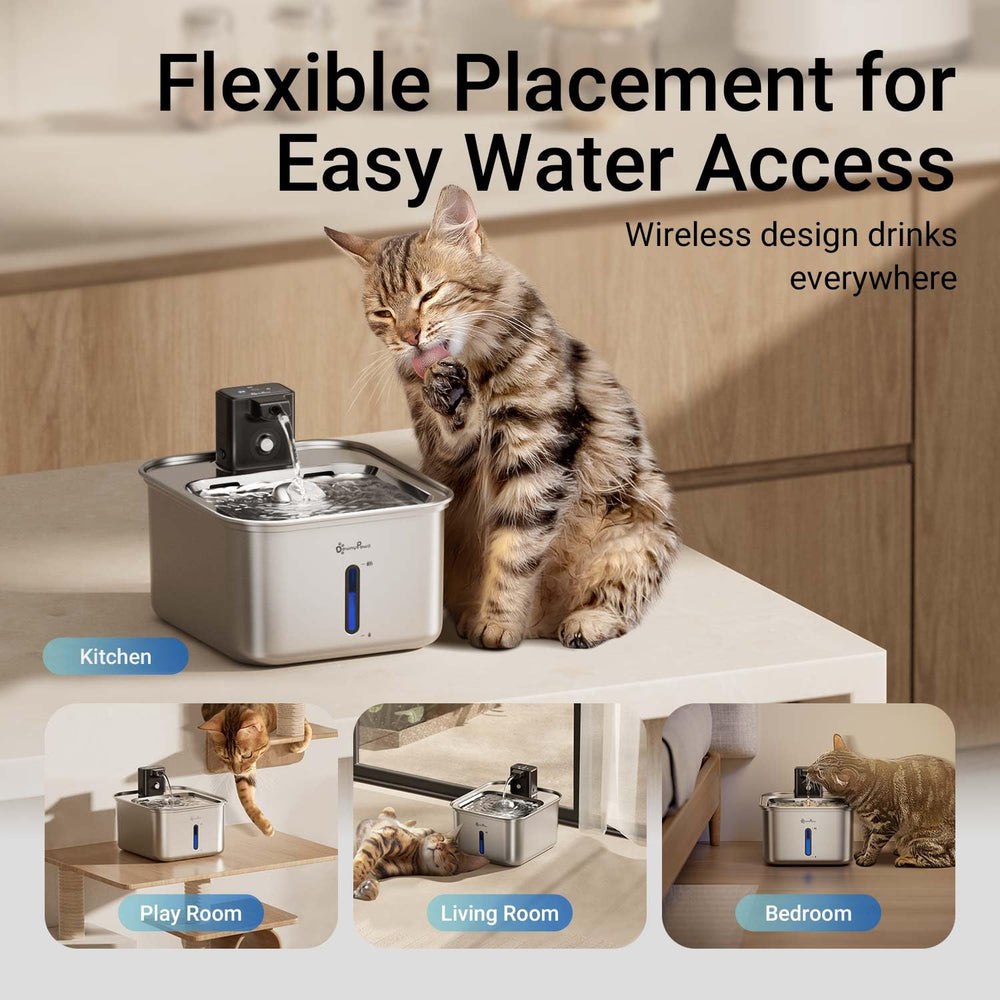 Fuente con batería recargable, hidratación constante para gatos