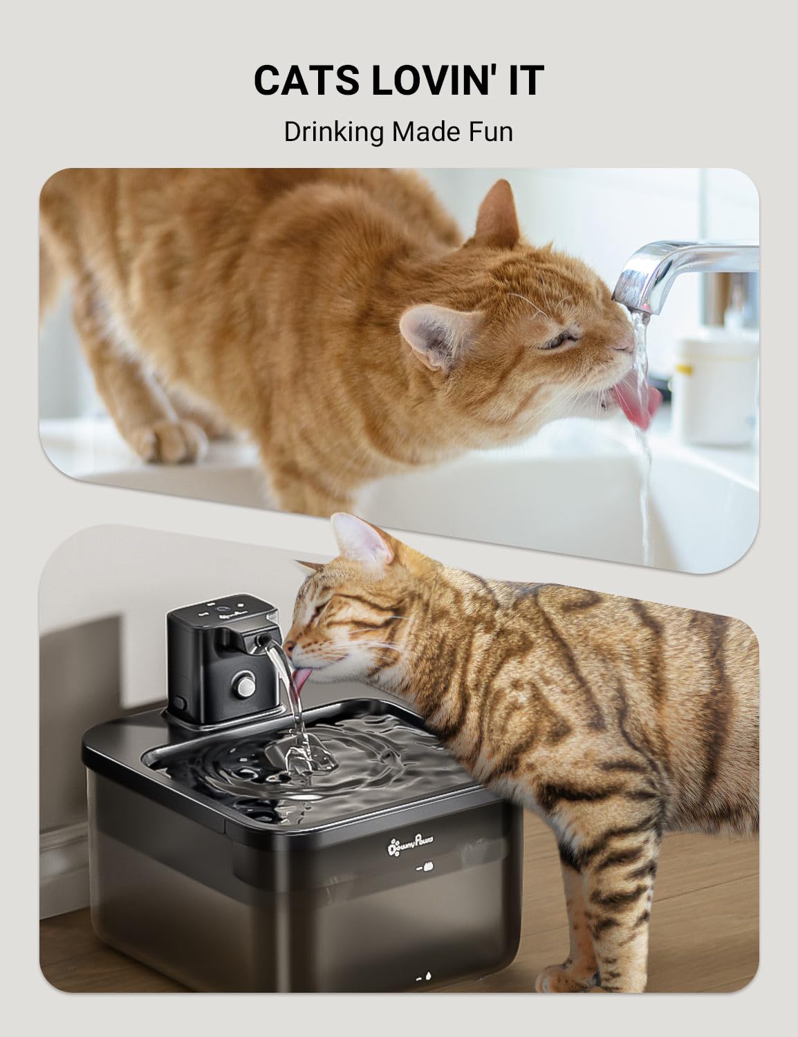 DownyPaws modo programado, dispensa agua cada 15 minutos.