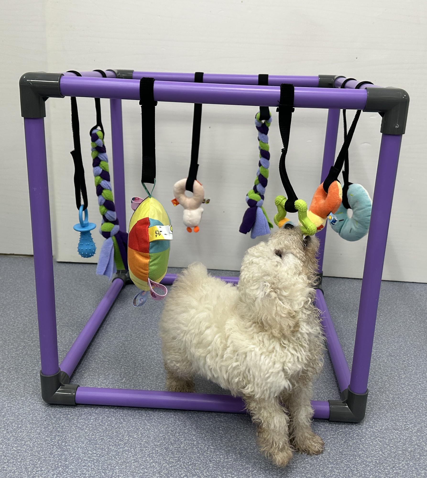 DOZZOPET Estimula sentidos con texturas y sonidos para cachorros
