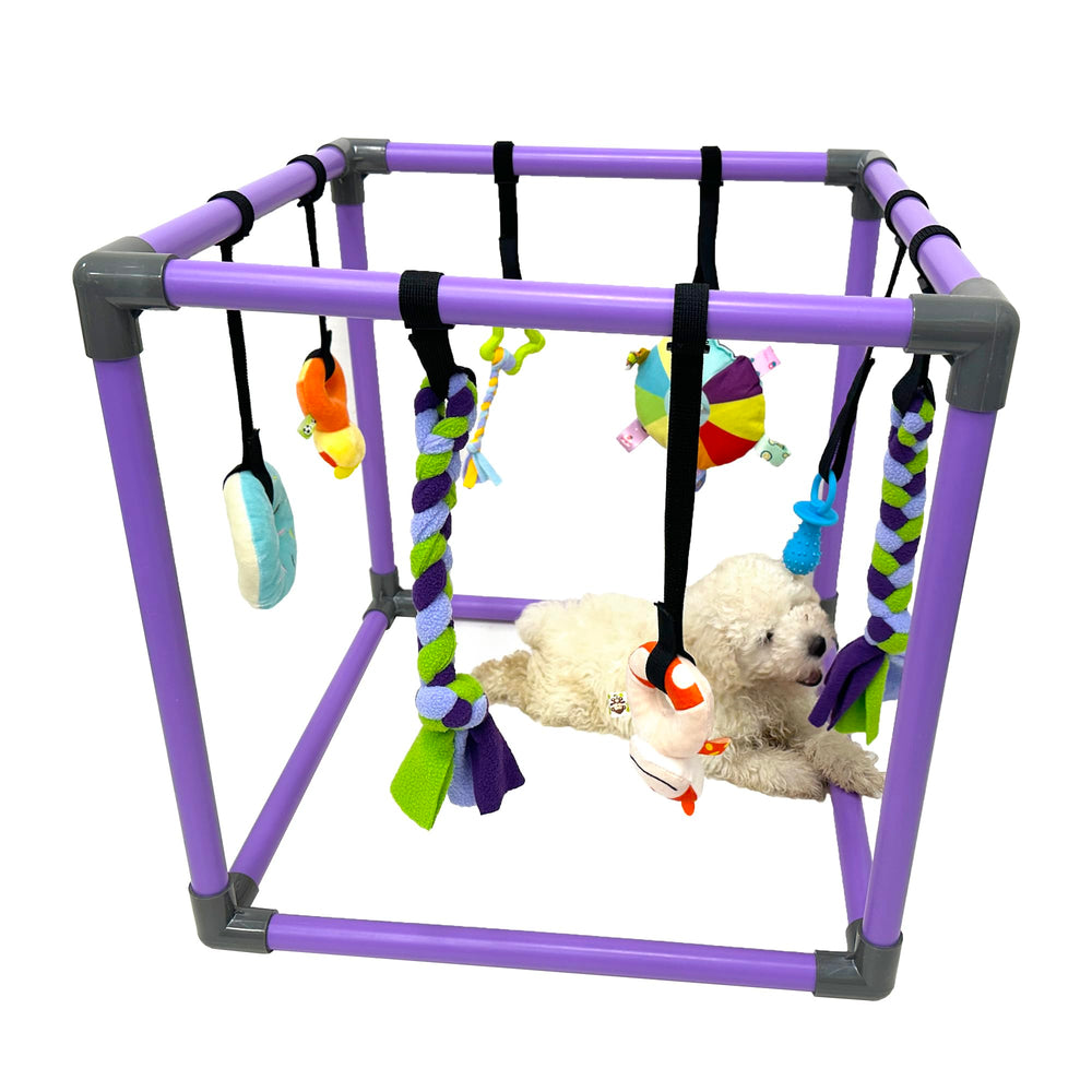 DOZZOPET Gimnasio de juego para cachorros con juguetes colgantes para estimulación mental