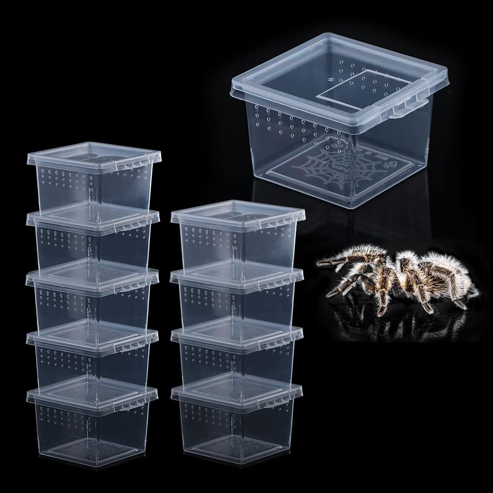 Caja criadero acrílica DQITJ de 10 piezas para arañas.