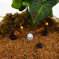 DQITJ cuenco ceramico mini para tarantula, superficie no porosa facilita la limpieza