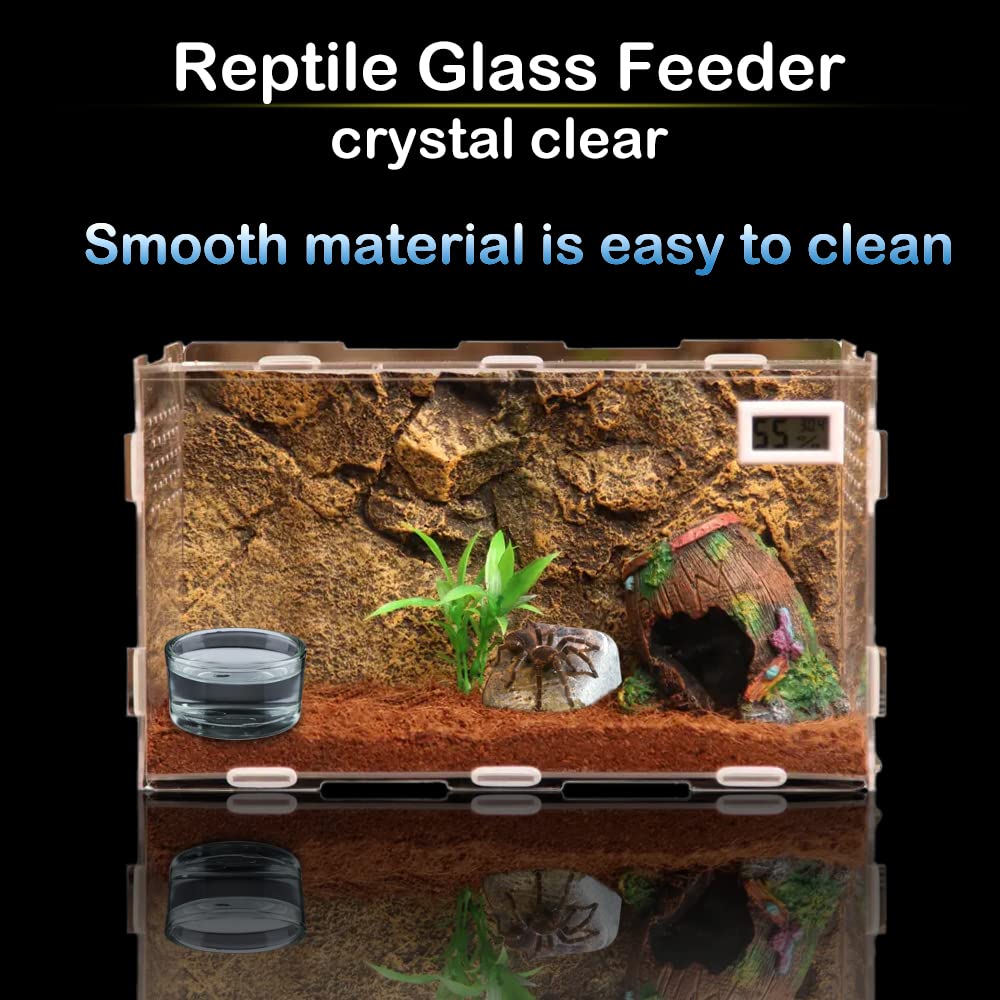 DQITJ cuenco cristal reptil, detalle transparencia, uso estable para reptiles pequeños.