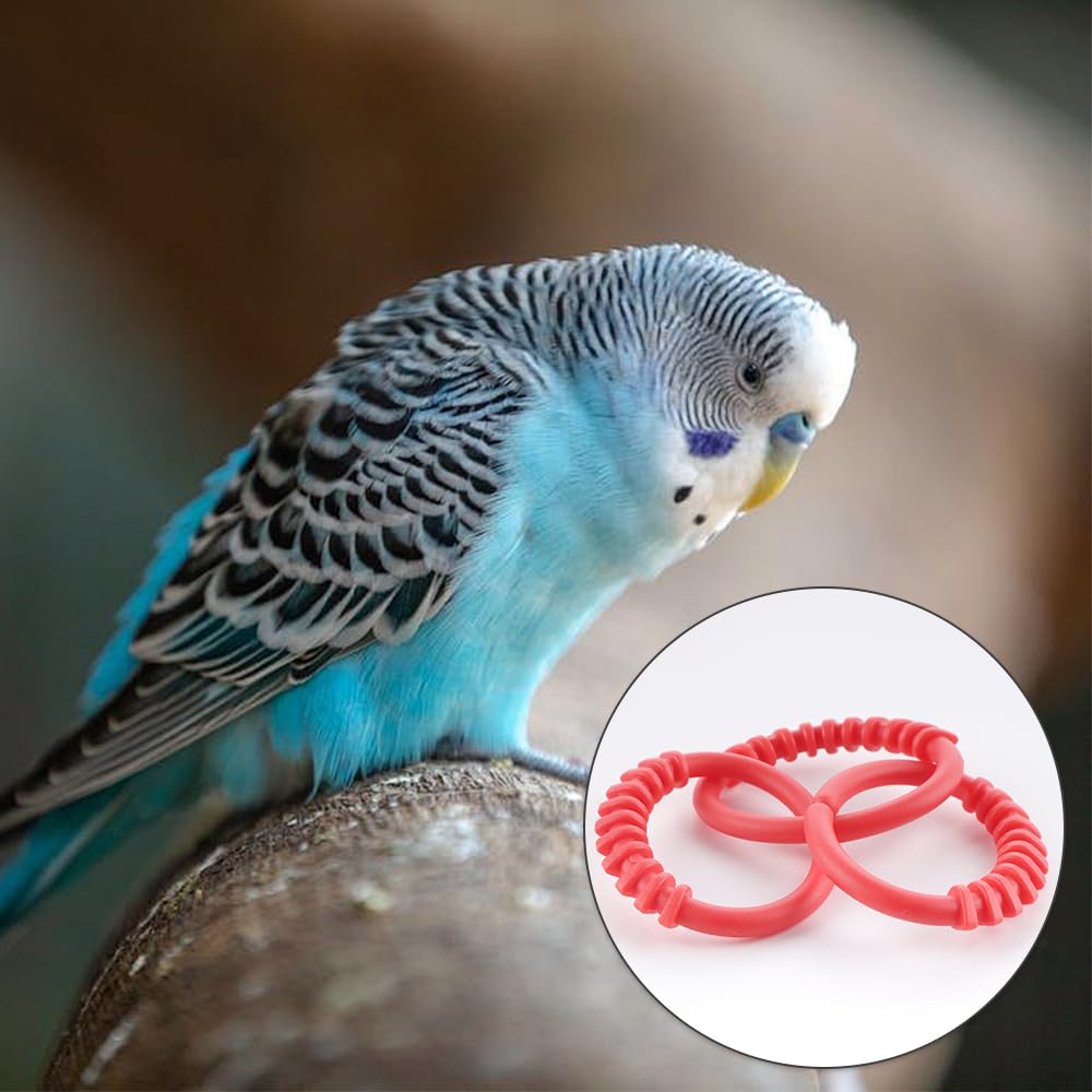 dqitj enlaces plásticos para aves, conexión rápida y segura
