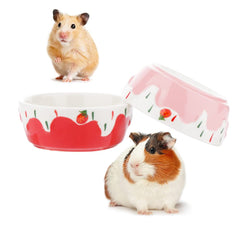 Cuenco cerámico anti-volcar de DQITJ para hamster, ideal para agua y comida.
