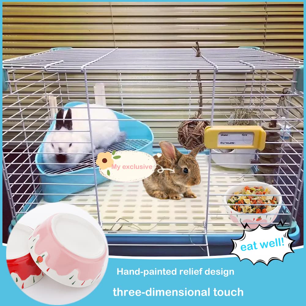 Uso versátil del cuenco cerámico DQITJ para agua o comida para mascotas pequeñas.
