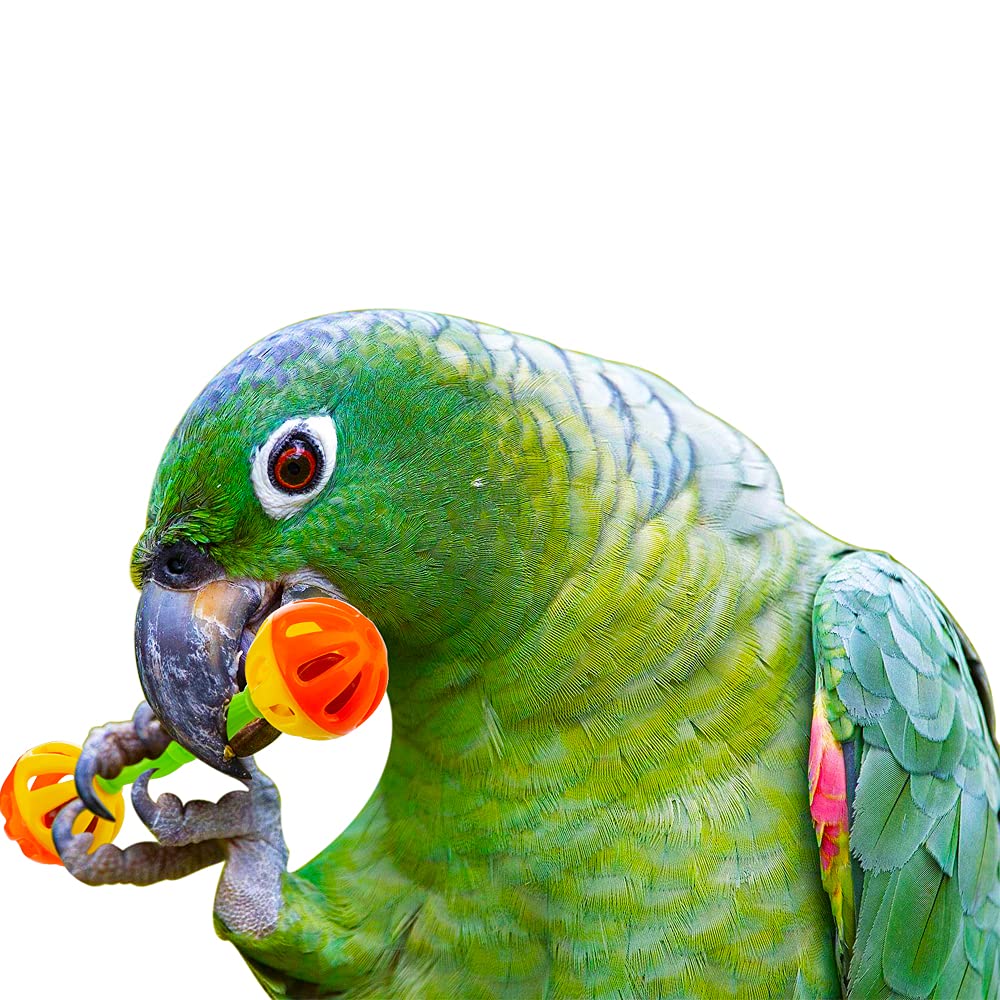 DQITJ juguete pie aves, material plástico seguro, apto para masticar y explorar.