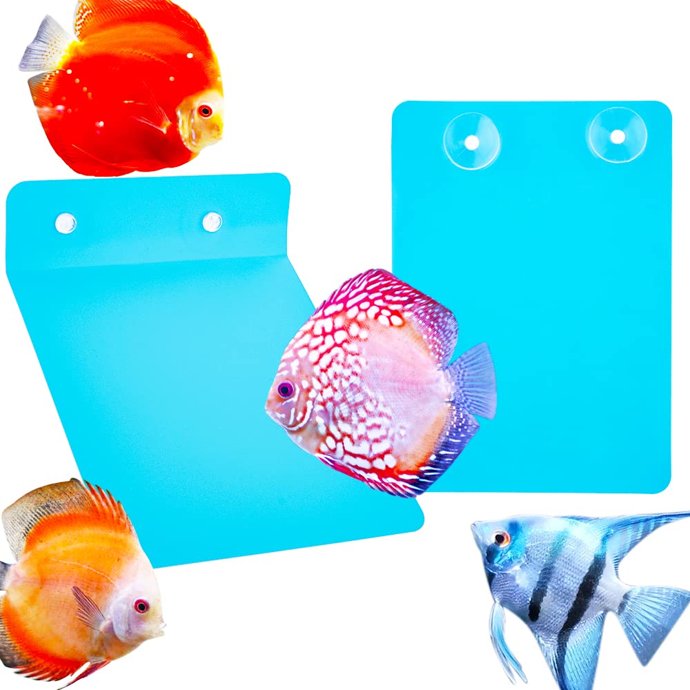 DQITJ pizarras de cría para pez ángel y discus, superficie estable para desove seguro.