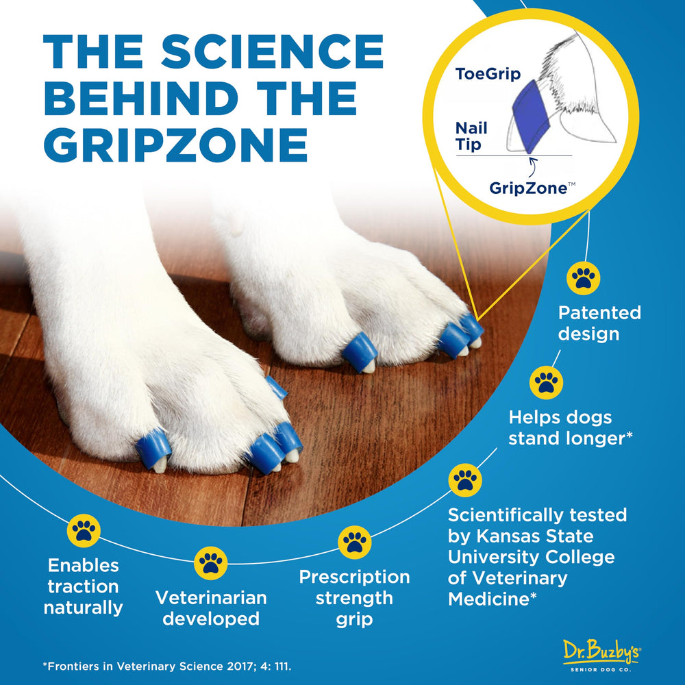 ToeGrips Dr. Buzby's en una pata derecha de un perro.