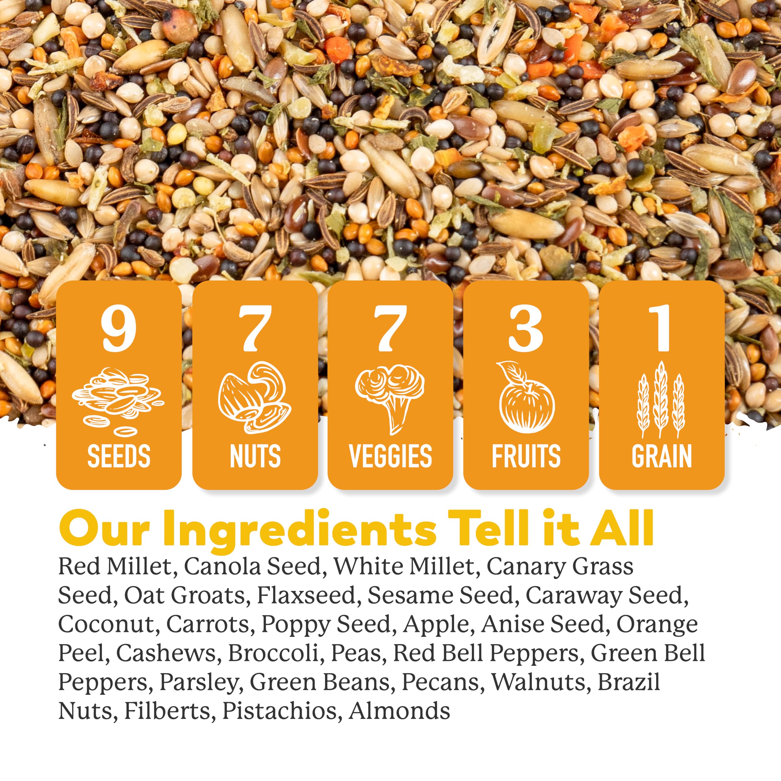 Dr. Harvey's canario: nueces y semillas para energía diaria.