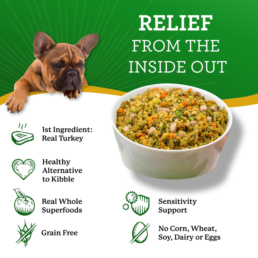 Dr. Harvey's ingredientes naturales de pavo y superalimentos para perros