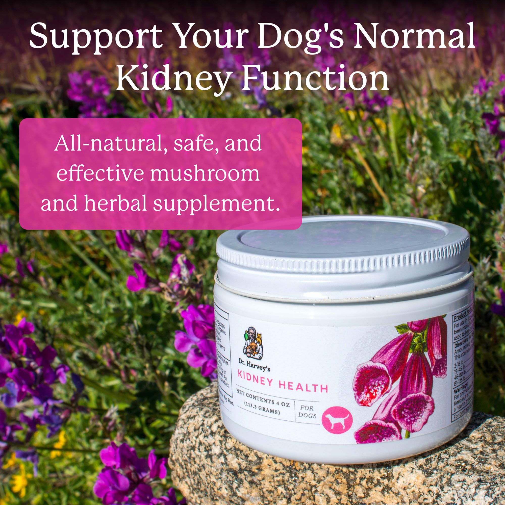 Dr. Harvey's Kidney Health, etiqueta muestra Rehmannia y hongos orgánicos.