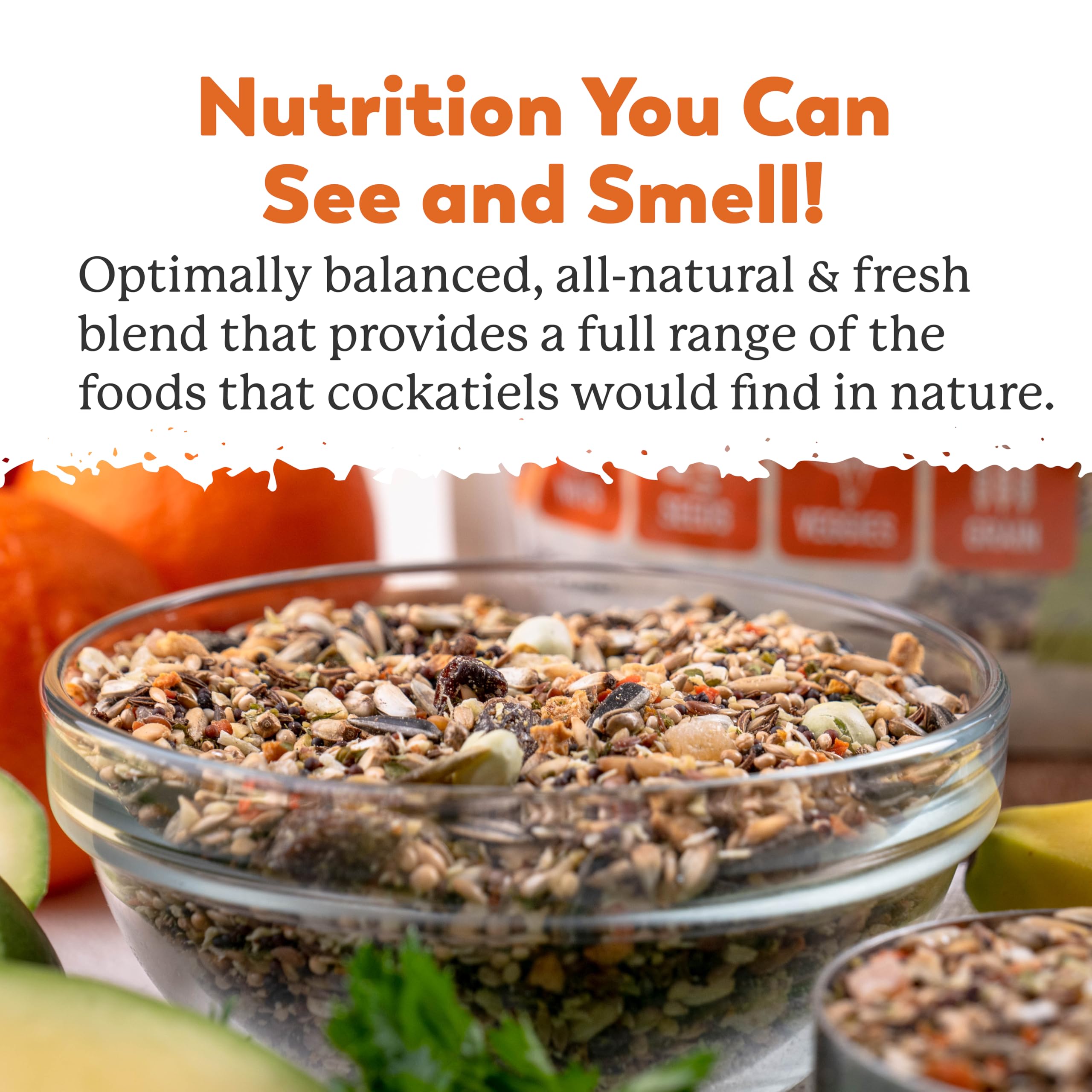 Dr. Harvey's Mezcla Colosal para Lorito Australiano: plumas brillantes por dieta equilibrada