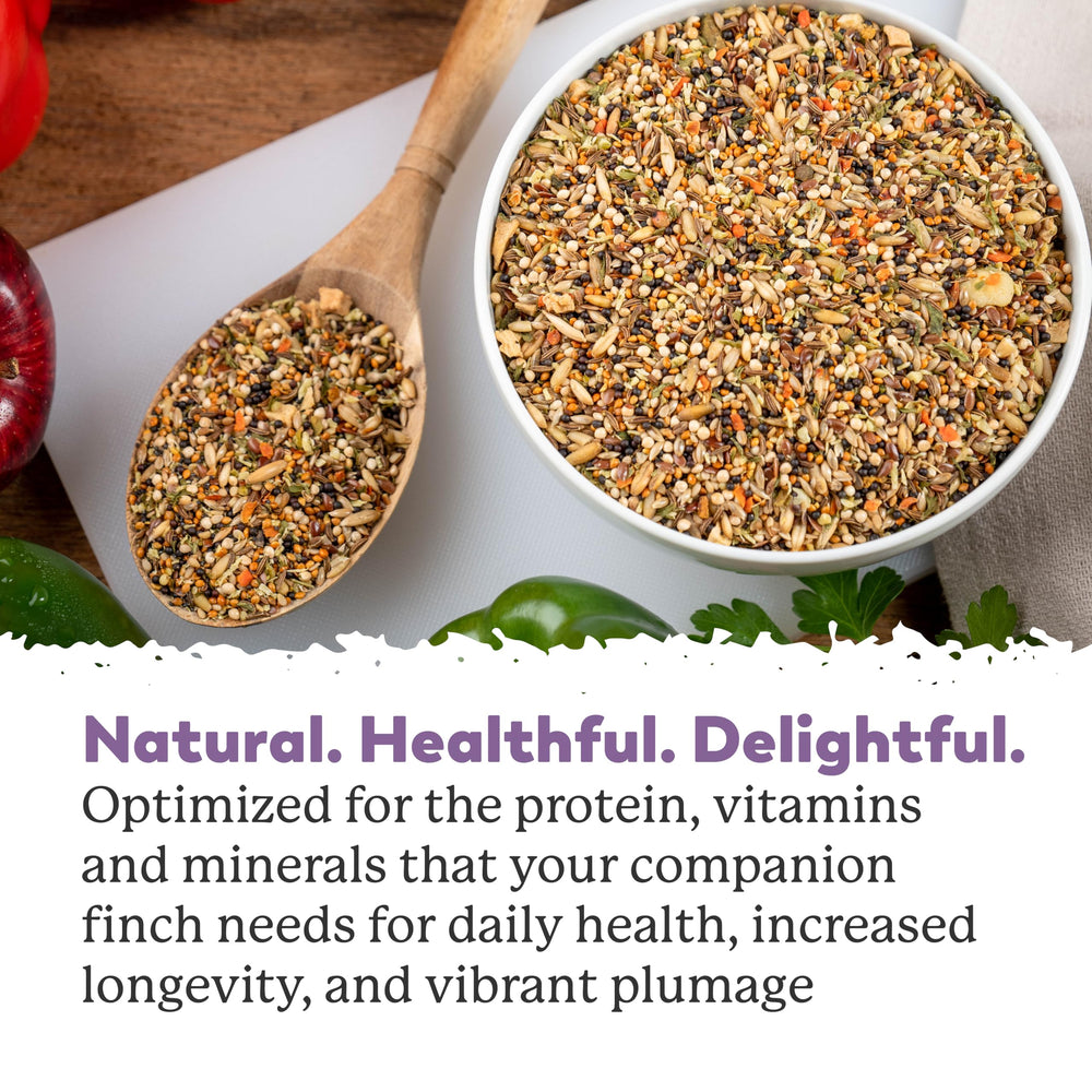 Dr. Harvey's Plumas vibrantes: alimentación de calidad para aves con plumaje brillante.