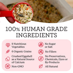 Dr. Harvey's Milagro con 6 granos orgánicos, nutrición completa para perros