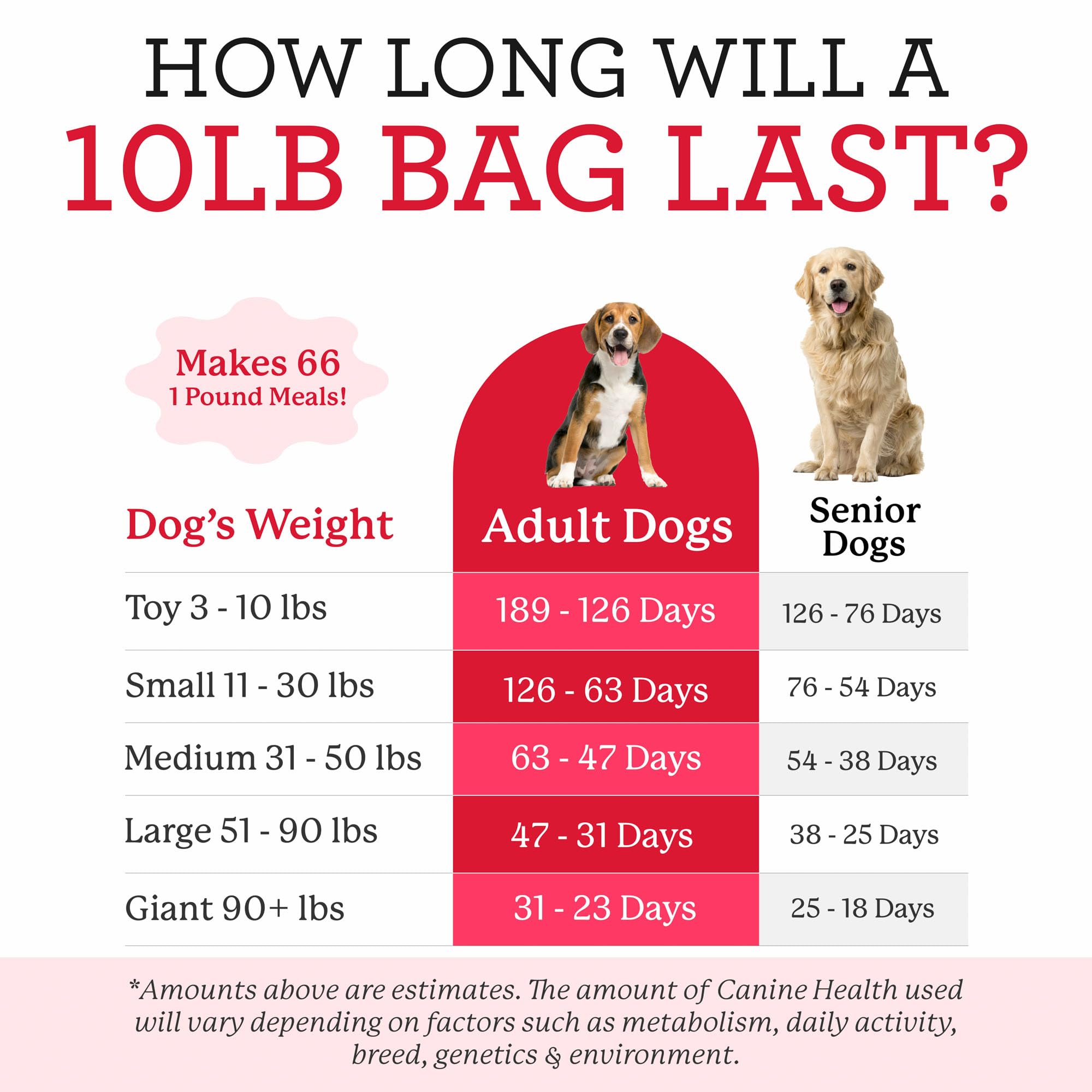Servir la mezcla base con proteína y aceite saludable para perros