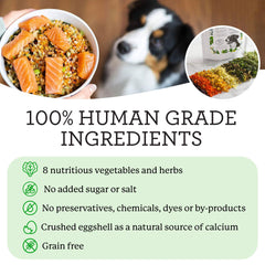 Dr. Harvey’s Veg-to-Bowl: mezcla de vegetales deshidratados para nutrición natural.