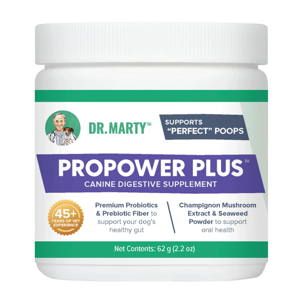 Dr. Marty ProPower Plus, polvo para salud intestinal canina, apoyo digestivo suave.