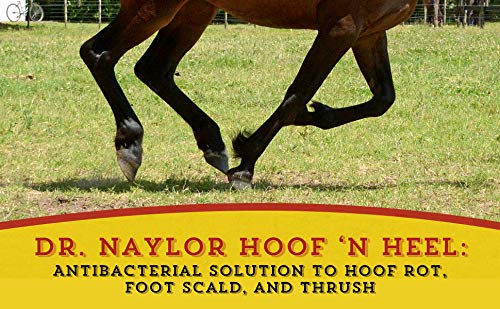Dr. Naylor Hoof 'N Heal, uso en ovejas para cuidado de pezuñas