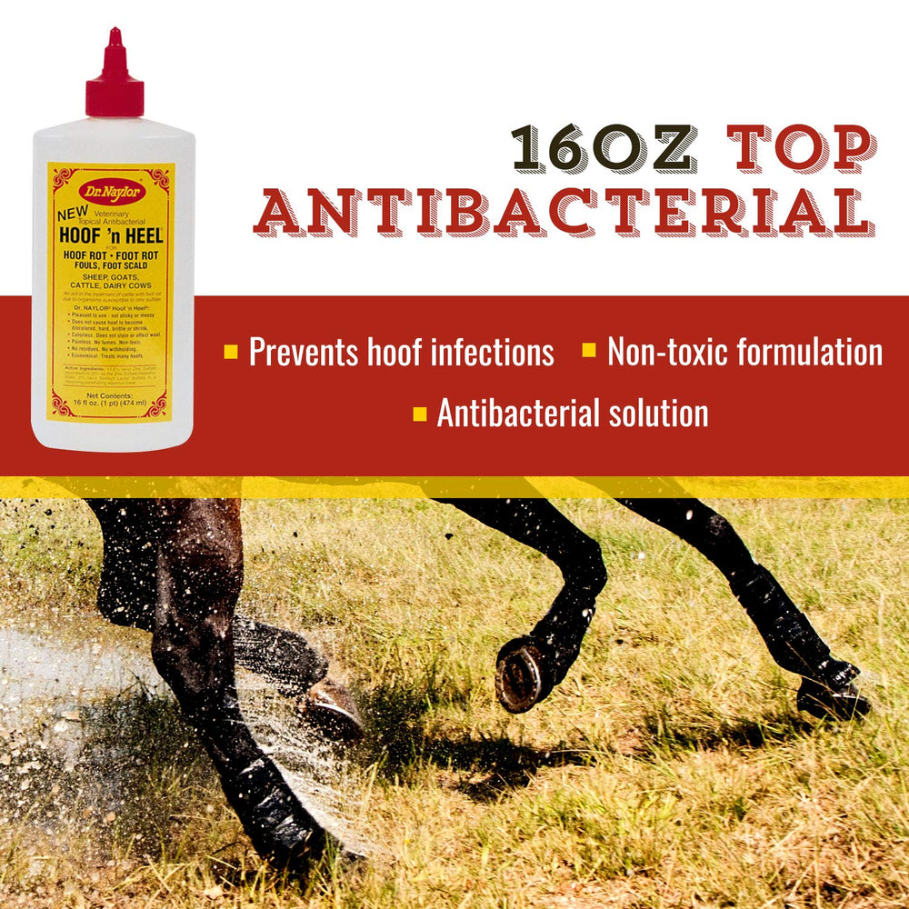 Dr. Naylor Hoof 'N Heal, penetración profunda en pezuñas para pododermatitis