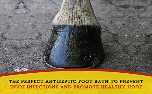 Dr. Naylor Hoof 'N Heal, facilita absorción en la pezuña