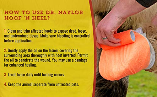 Dr. Naylor Hoof 'N Heal, uso diario en el hato