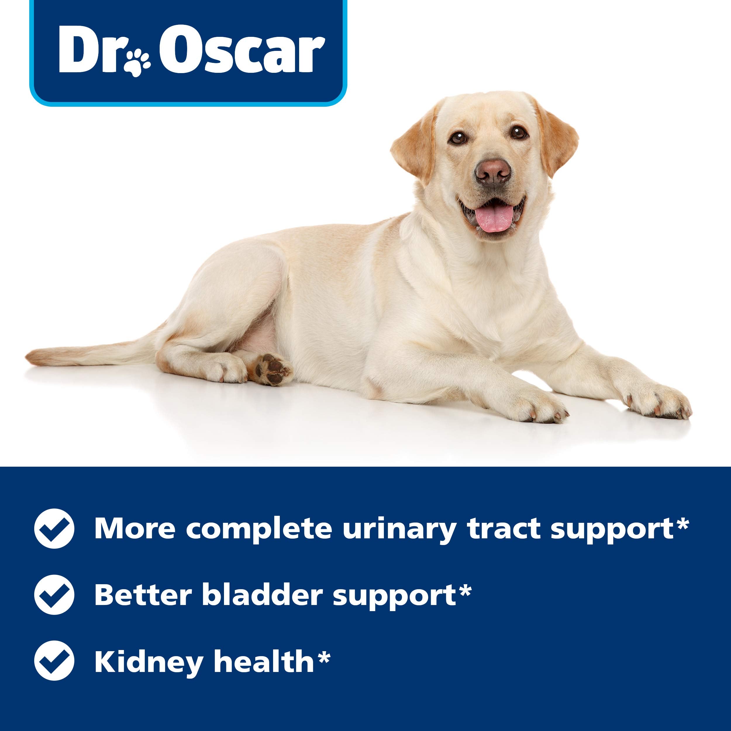 Dr Oscar fabricación de calidad: buenas prácticas de fabricación y registro sanitario.