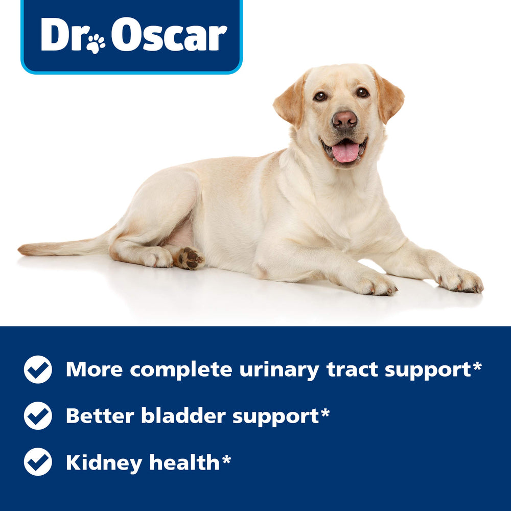Dr Oscar fabricación de calidad: buenas prácticas de fabricación y registro sanitario.