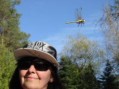 DRAGONFLY WINGMAN acción voladora disuasiva para moscas grandes.