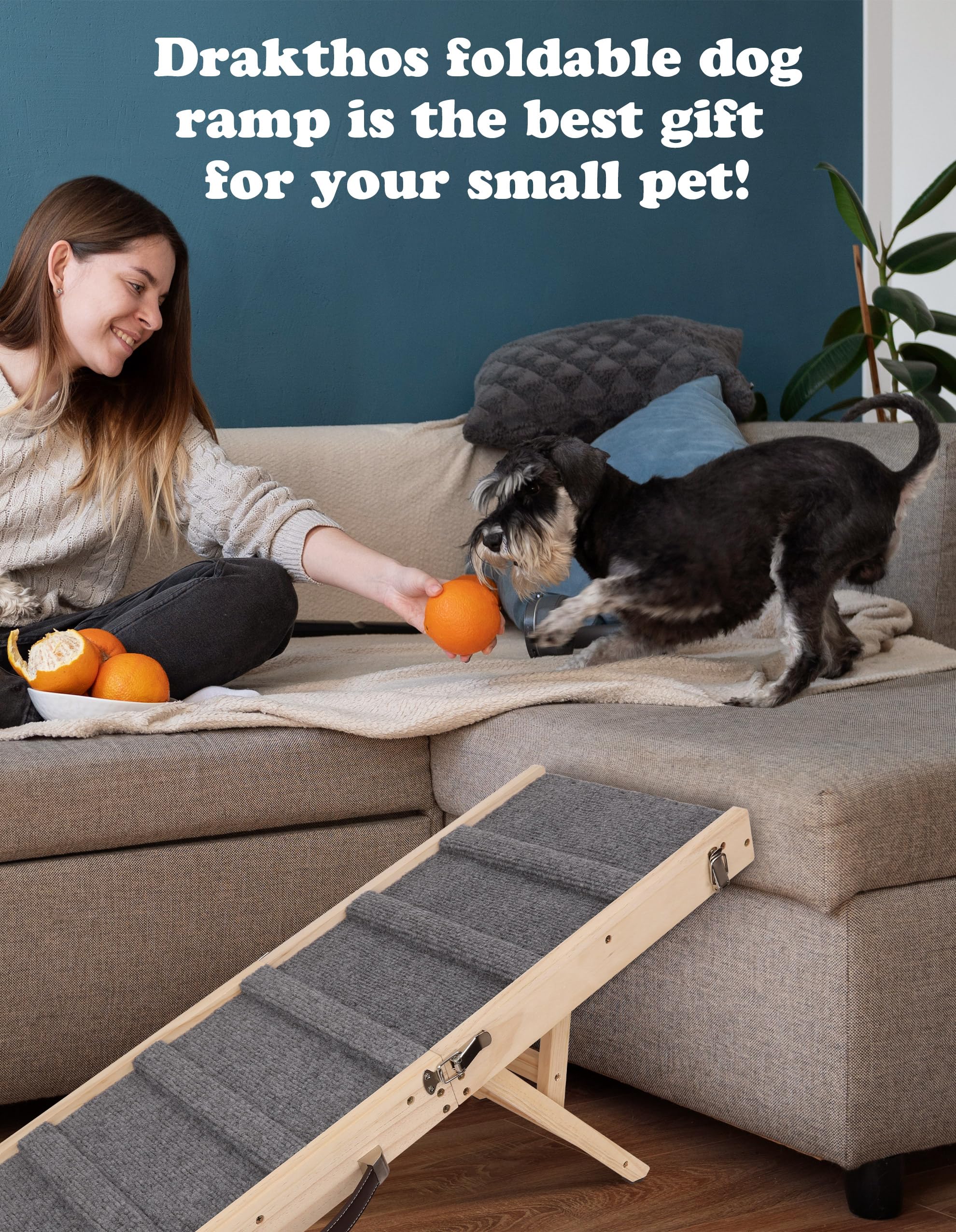 Rampa Drakthos para perros pequeños, ideal para movilidad diaria en casa.