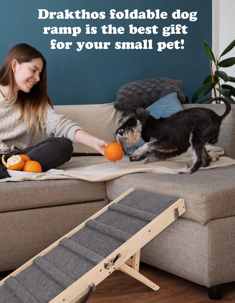 Rampa Drakthos para perros pequeños, ideal para movilidad diaria en casa.