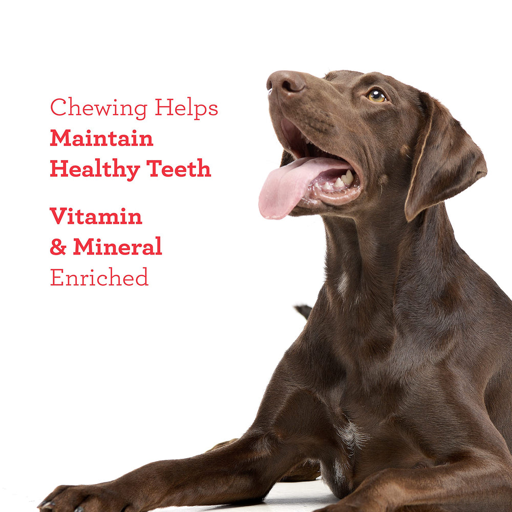 DreamBone Butcher’s Cut Chuches, cuatro formas divertidas para perros curiosos.