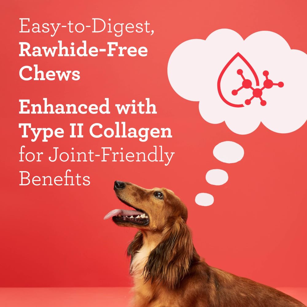 DreamBone CollaYums Nudos, apto para perros activos y mayores.