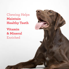 DreamBone Twisties sabor ternera, opción atractiva para perros activos durante el día