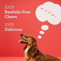 DreamBone Twist Sticks: textura del palito, fácil de masticar para perros