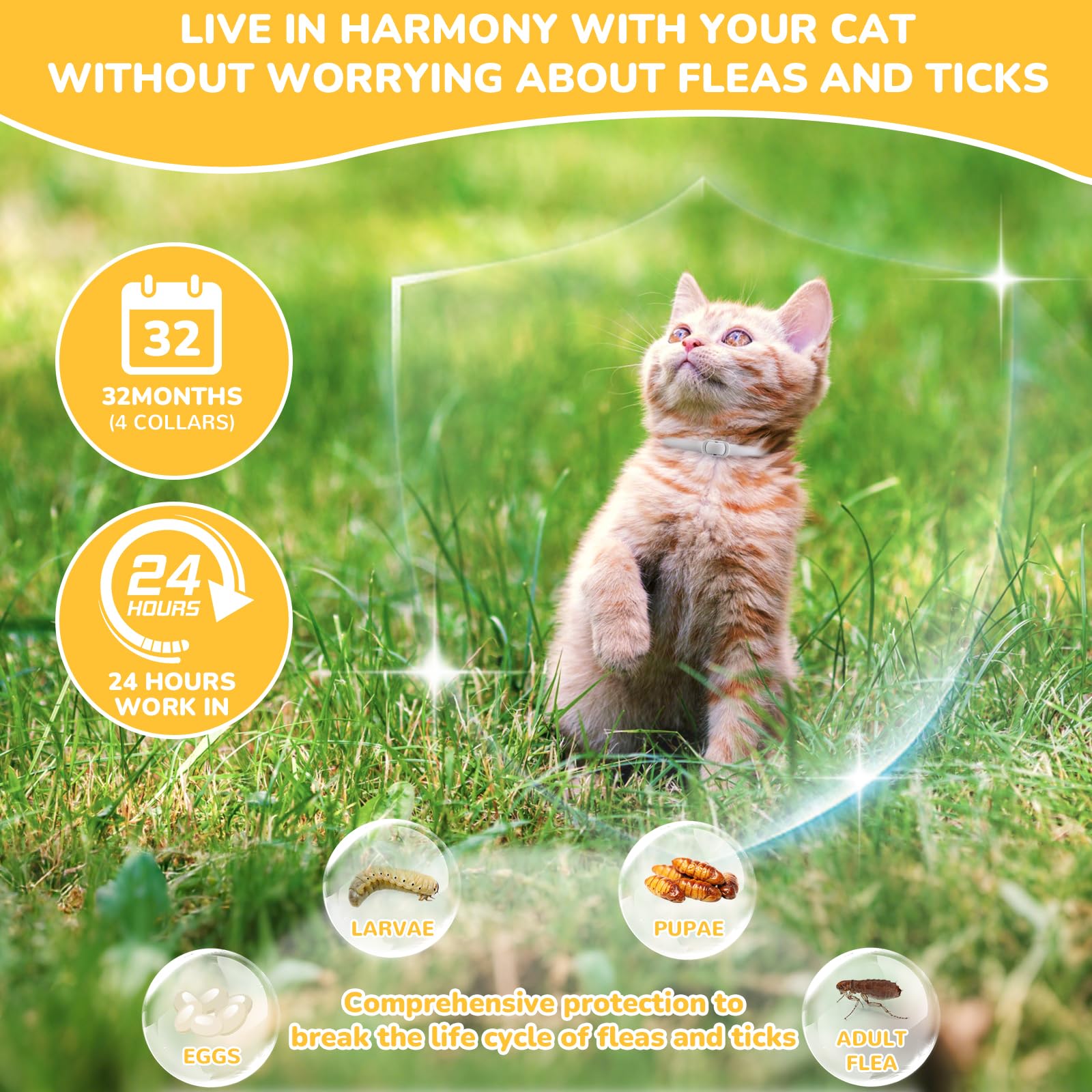 DrFlito collar antipulgas impermeable en gato, apto para lluvia y baño.