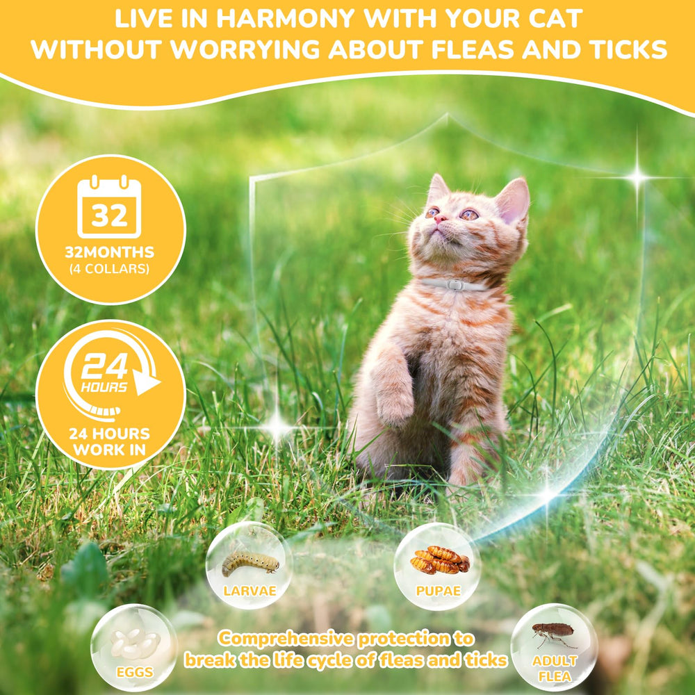 DrFlito collar antipulgas impermeable en gato, apto para lluvia y baño.
