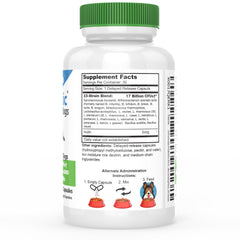 DrFormulas Probiotics para perros, cápsula sin sabor, fácil de mezclar con comida