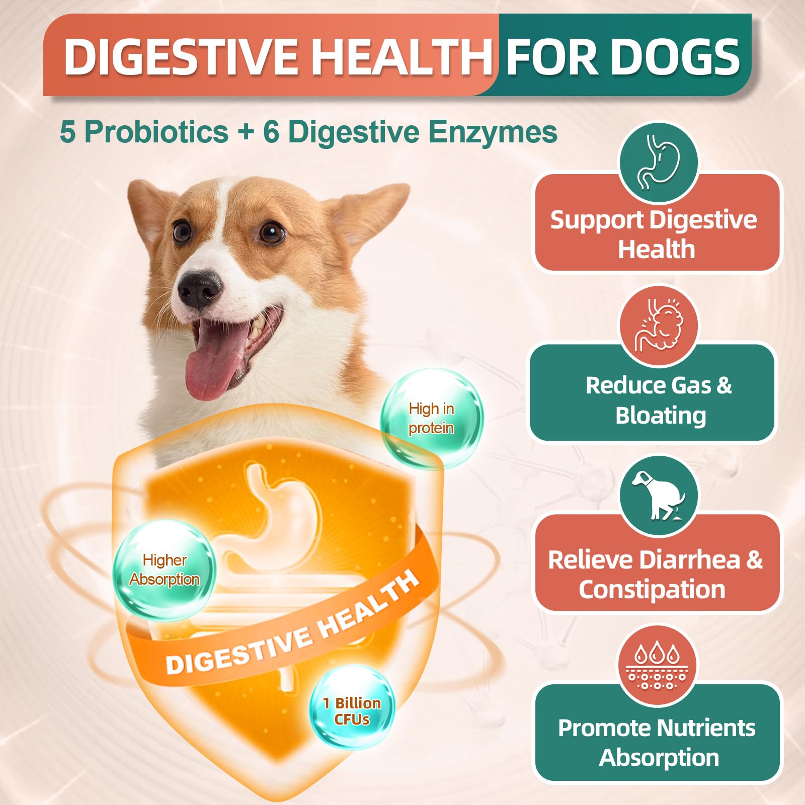 DRFOSTER multivitamínico para perros: articulaciones más fuertes.