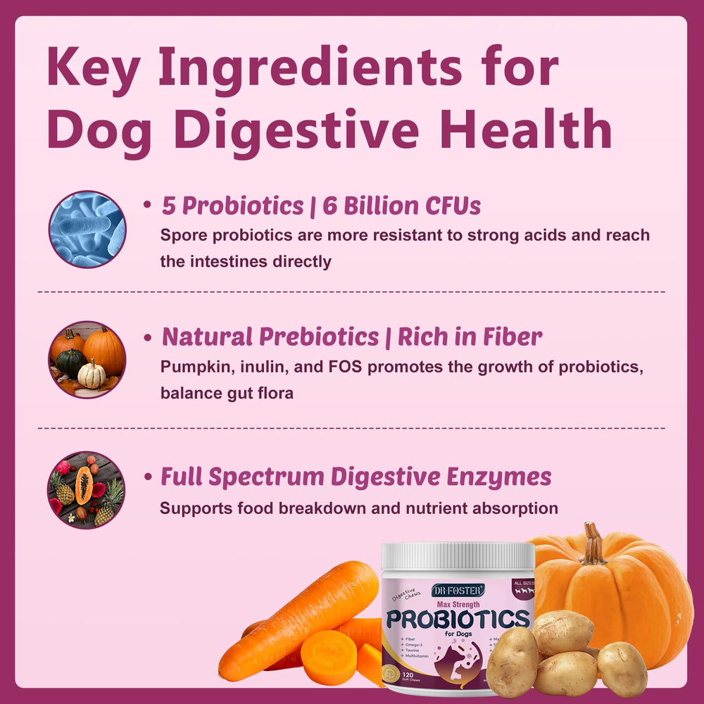 DRFOSTER probióticos para perros con equilibrio digestivo suave
