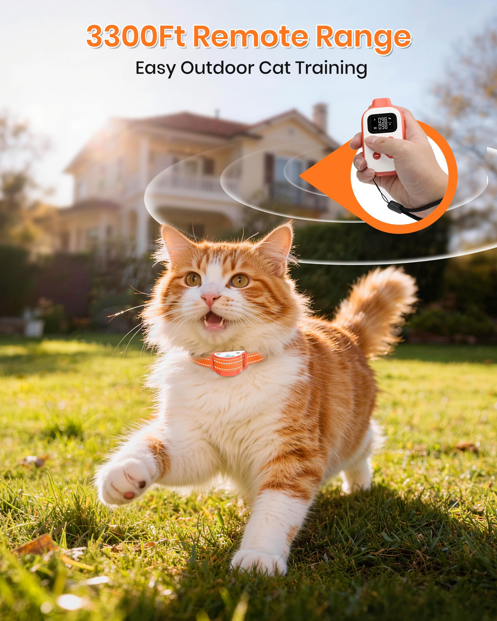 DTCollar batería del receptor con duración de hasta 15 días en espera.