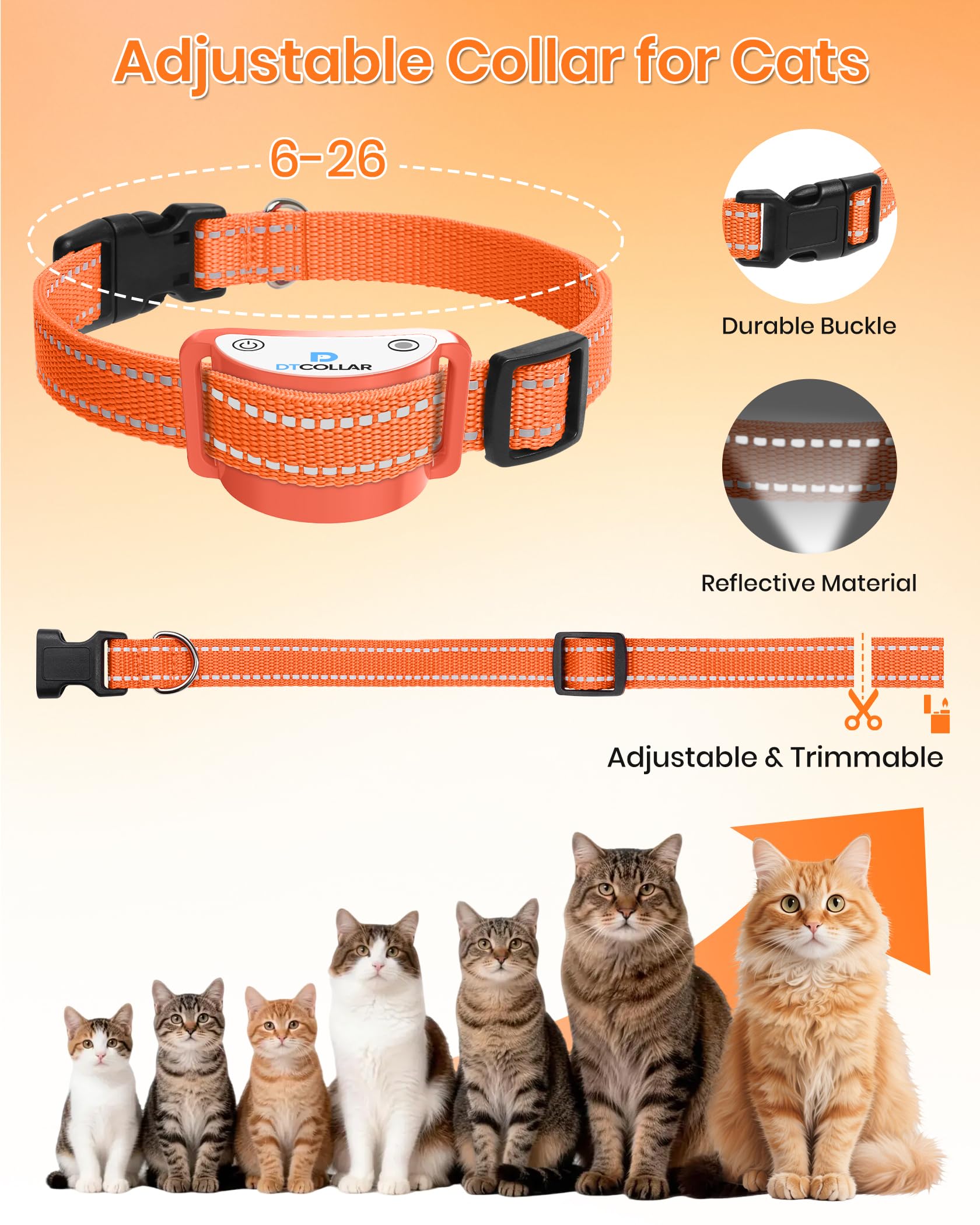 DTCollar cargador 2 en 1 para recargar mando y receptor.