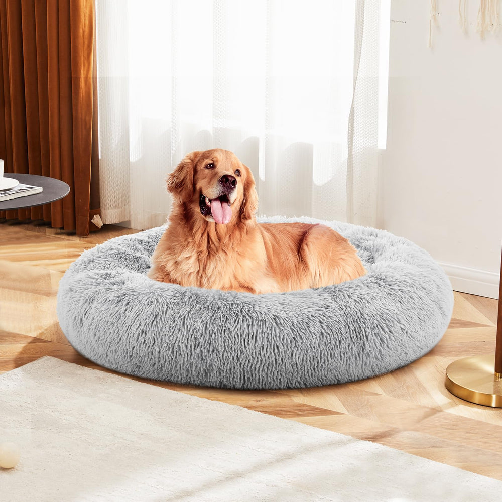 Uso en sala de estar con cama rosquilla gris DUMOS para descanso cómodo.
