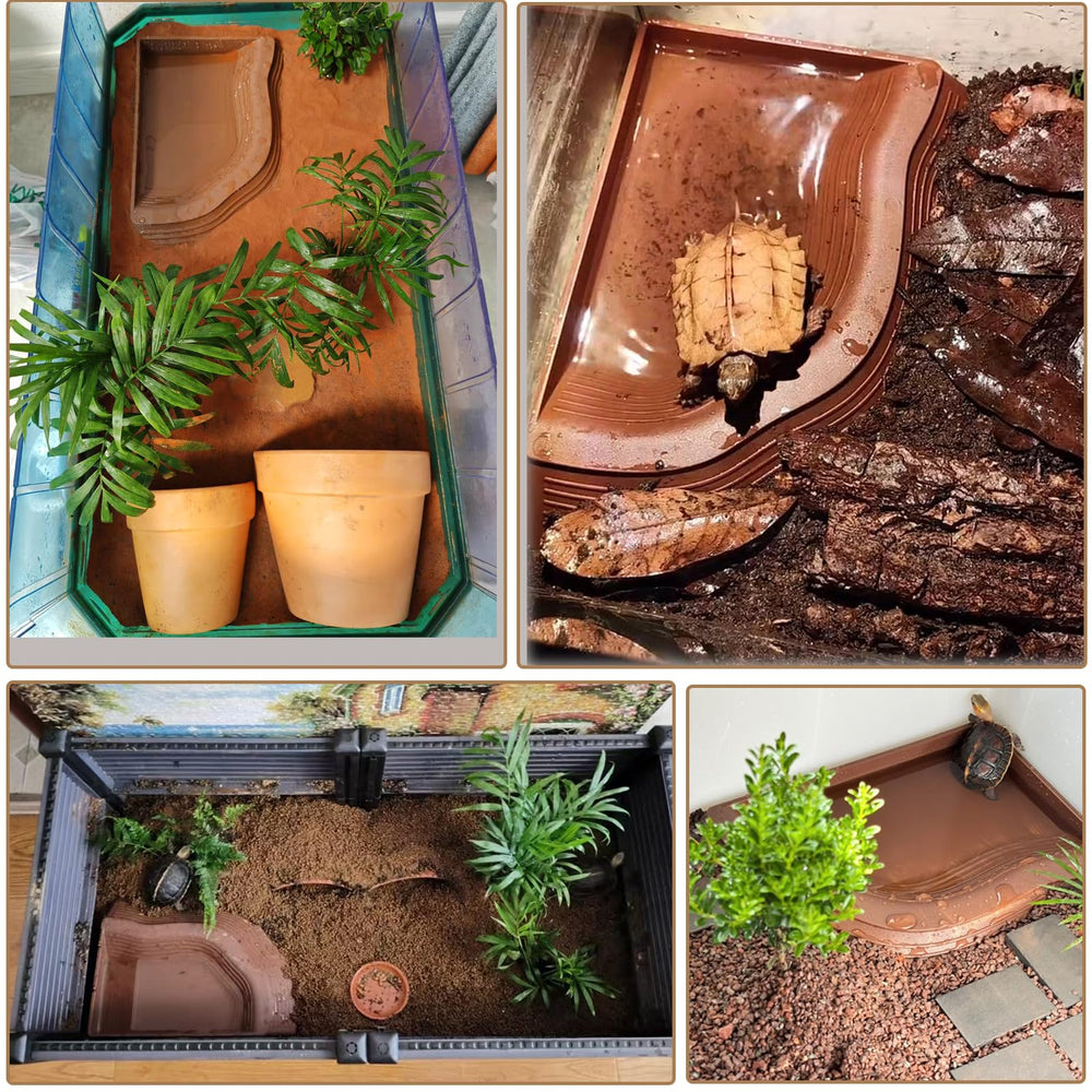 DUOYUZHIYU set de 3 cuencos aptos para baño o comida de reptiles.