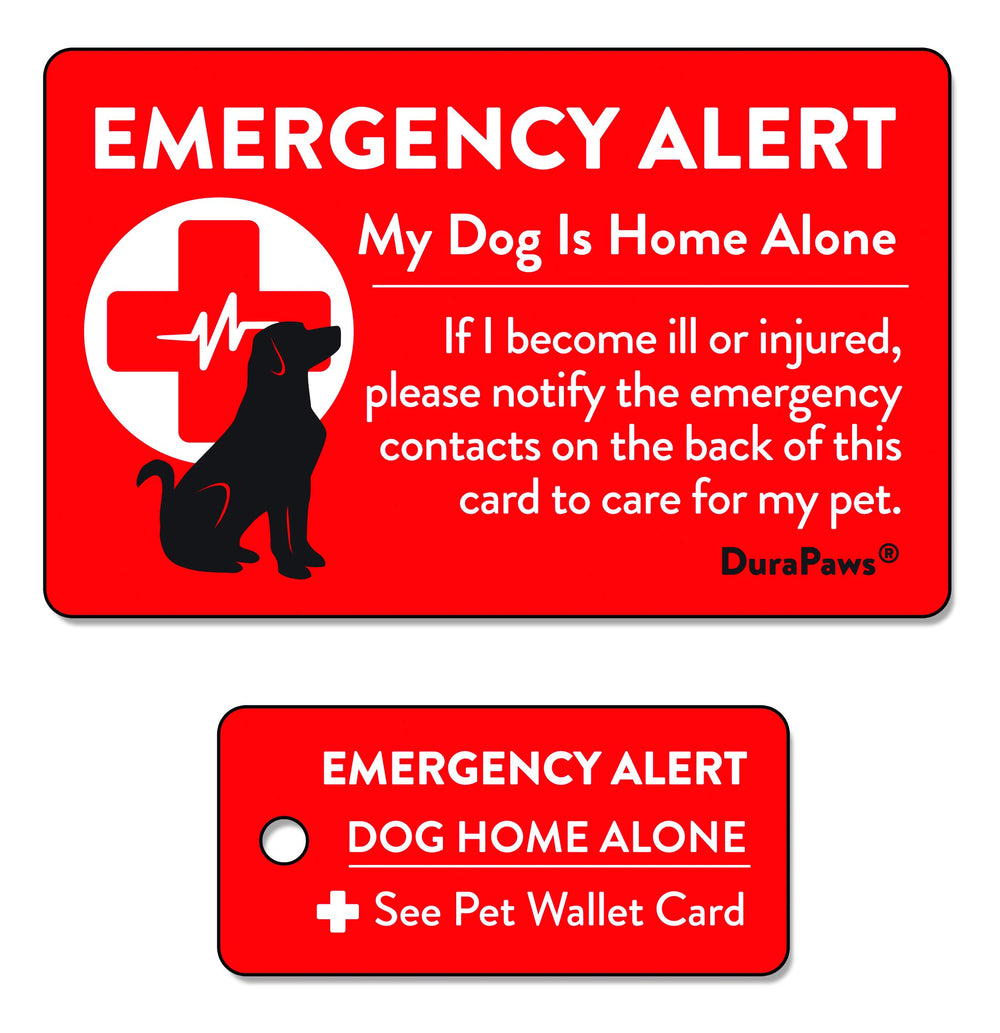 Tarjeta de emergencia DuraPaws para mascotas en el bolsillo, fácil de usar.