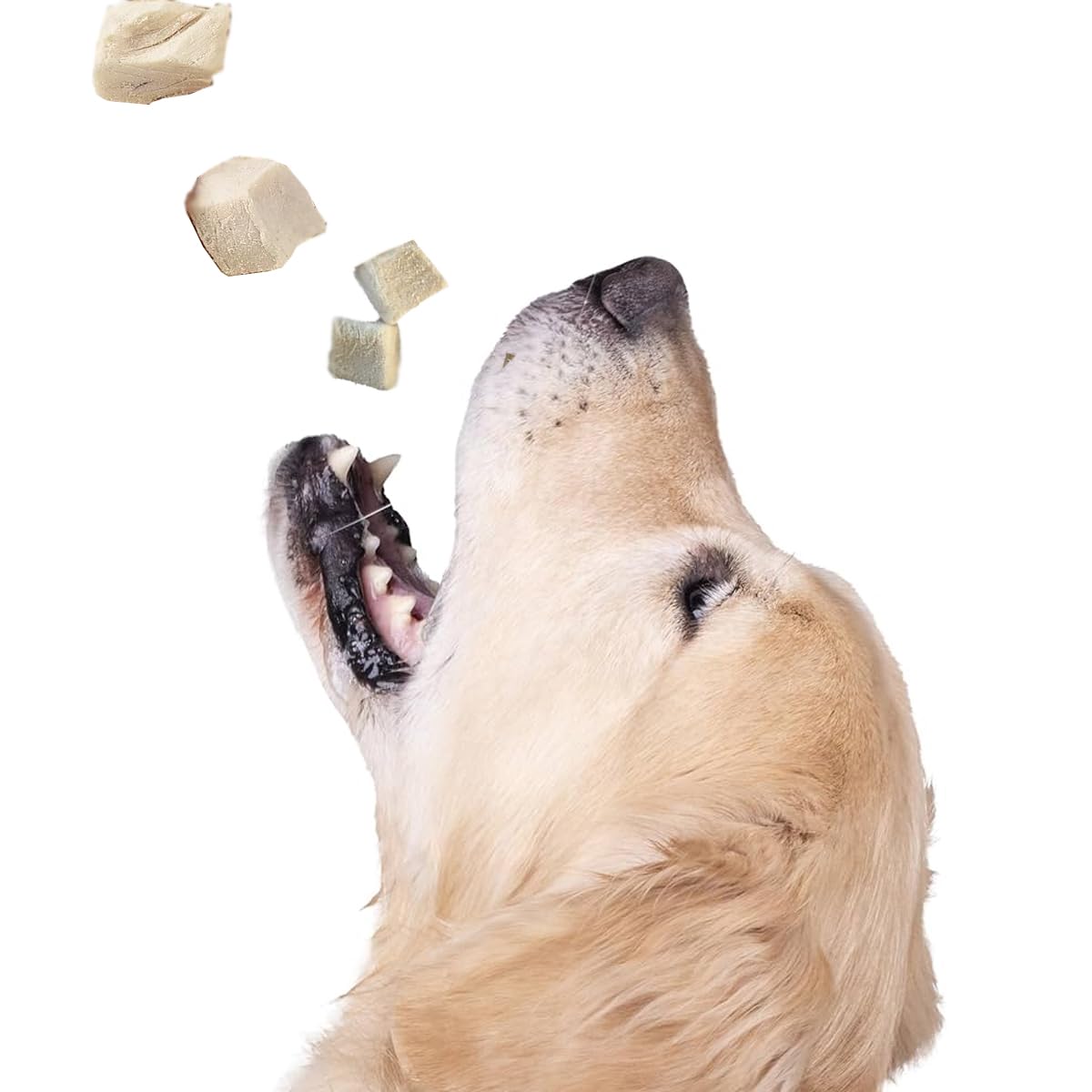 DurbaLife sin aditivos ni conservantes, snack puro para mascotas.