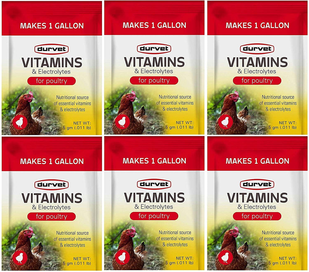 Durvet vitaminas y electrolitos para aves, premezcla soluble en agua para hidratación y nutrición