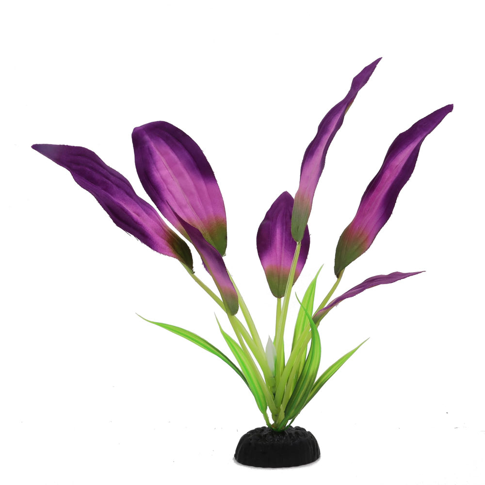 DVHEY ideal para bettas: ofrece escondites y zonas de juego seguras.