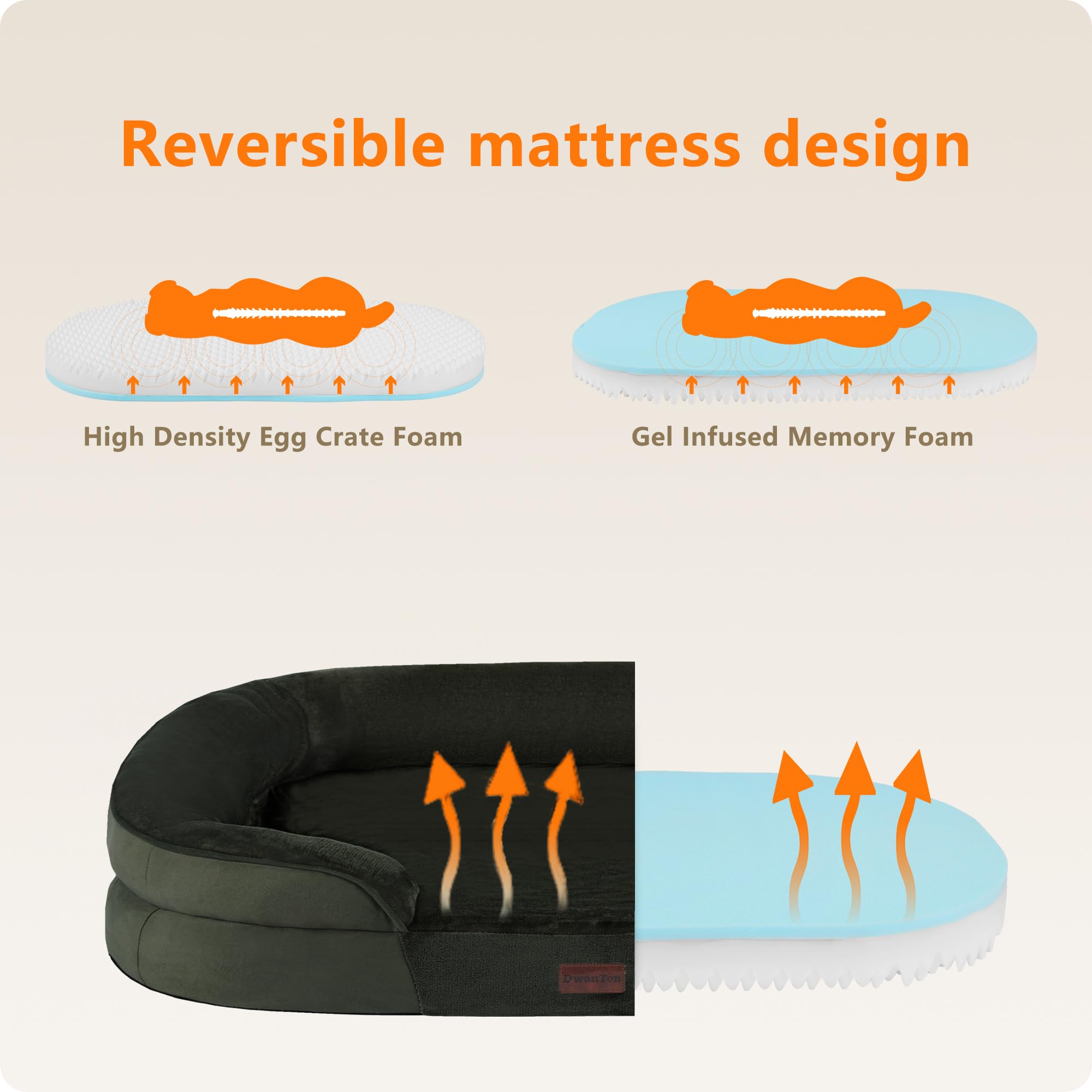 Dwanton funda lavable verde para cama de perro, práctica